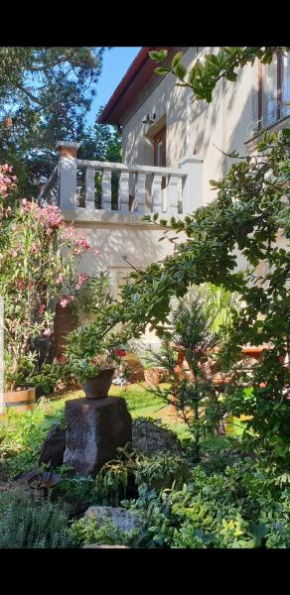 Kasza Villa